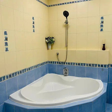 Guest house Maiselova Old Town *